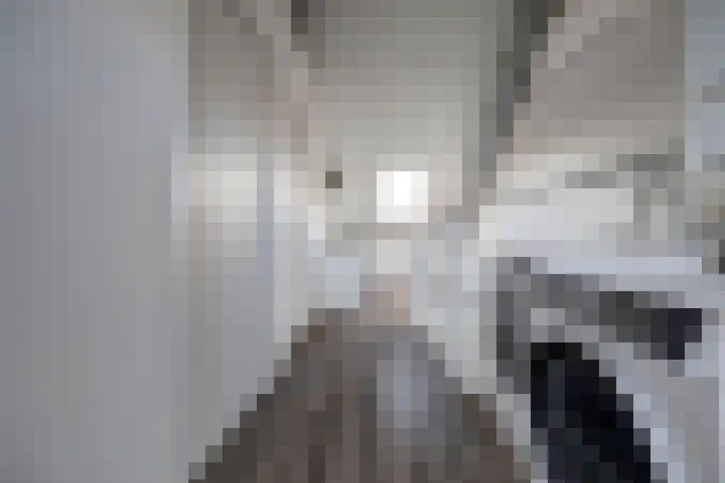 Marie van Zeggelenstraat 39 Spijkenisse thumbnail 41
