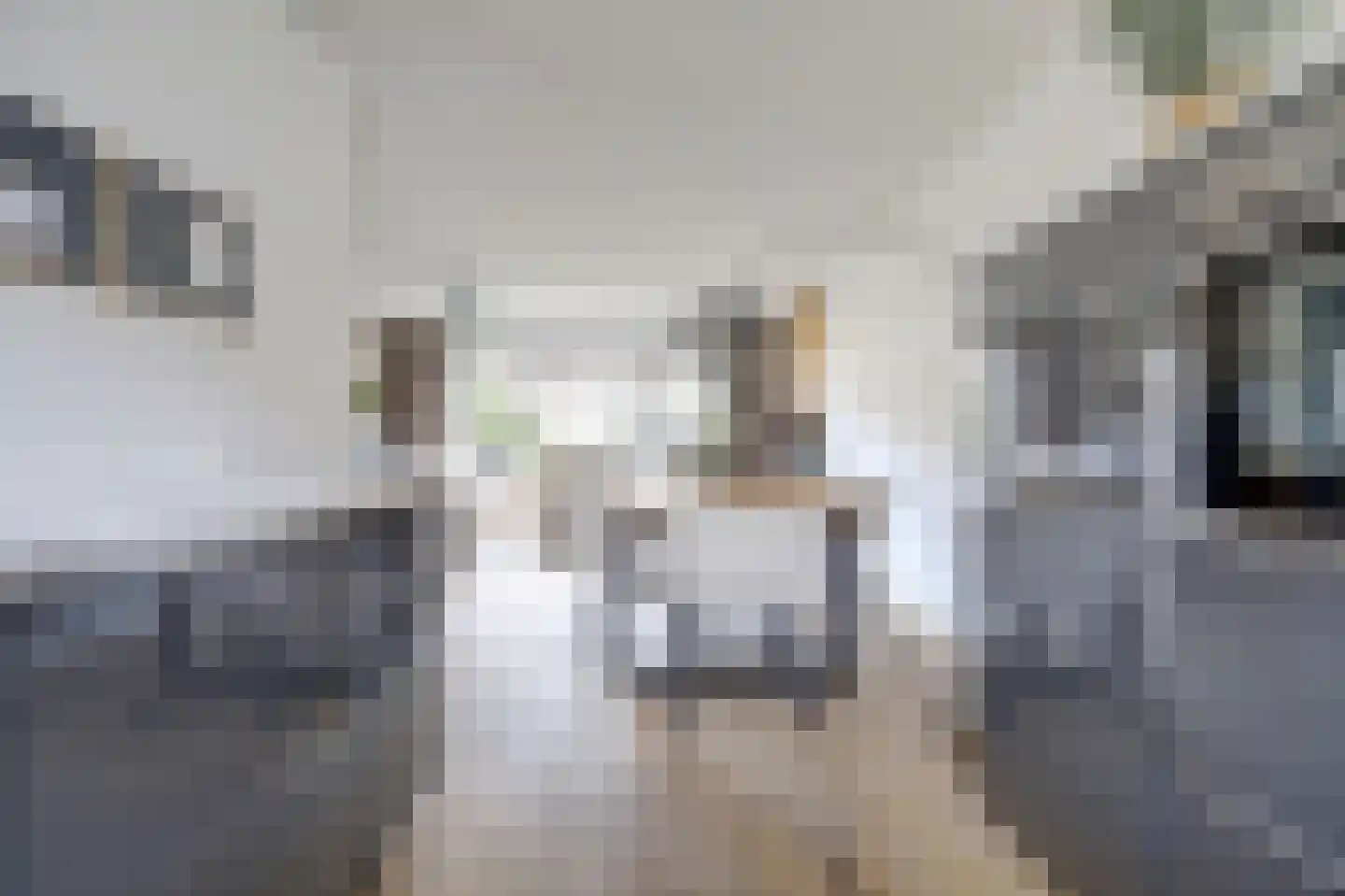 Marie van Zeggelenstraat 39 Spijkenisse thumbnail 5