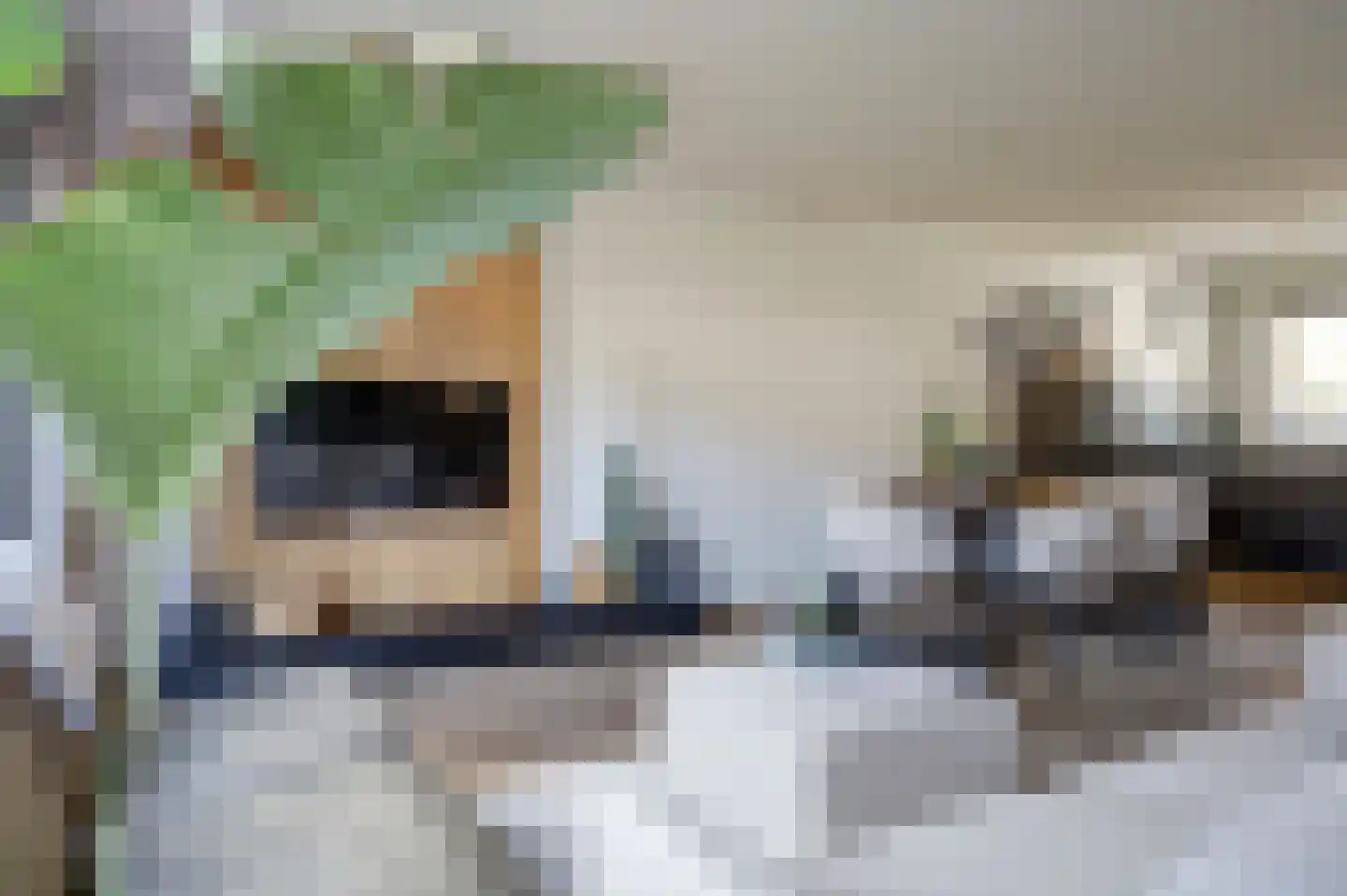 Marie van Zeggelenstraat 39 Spijkenisse thumbnail 7