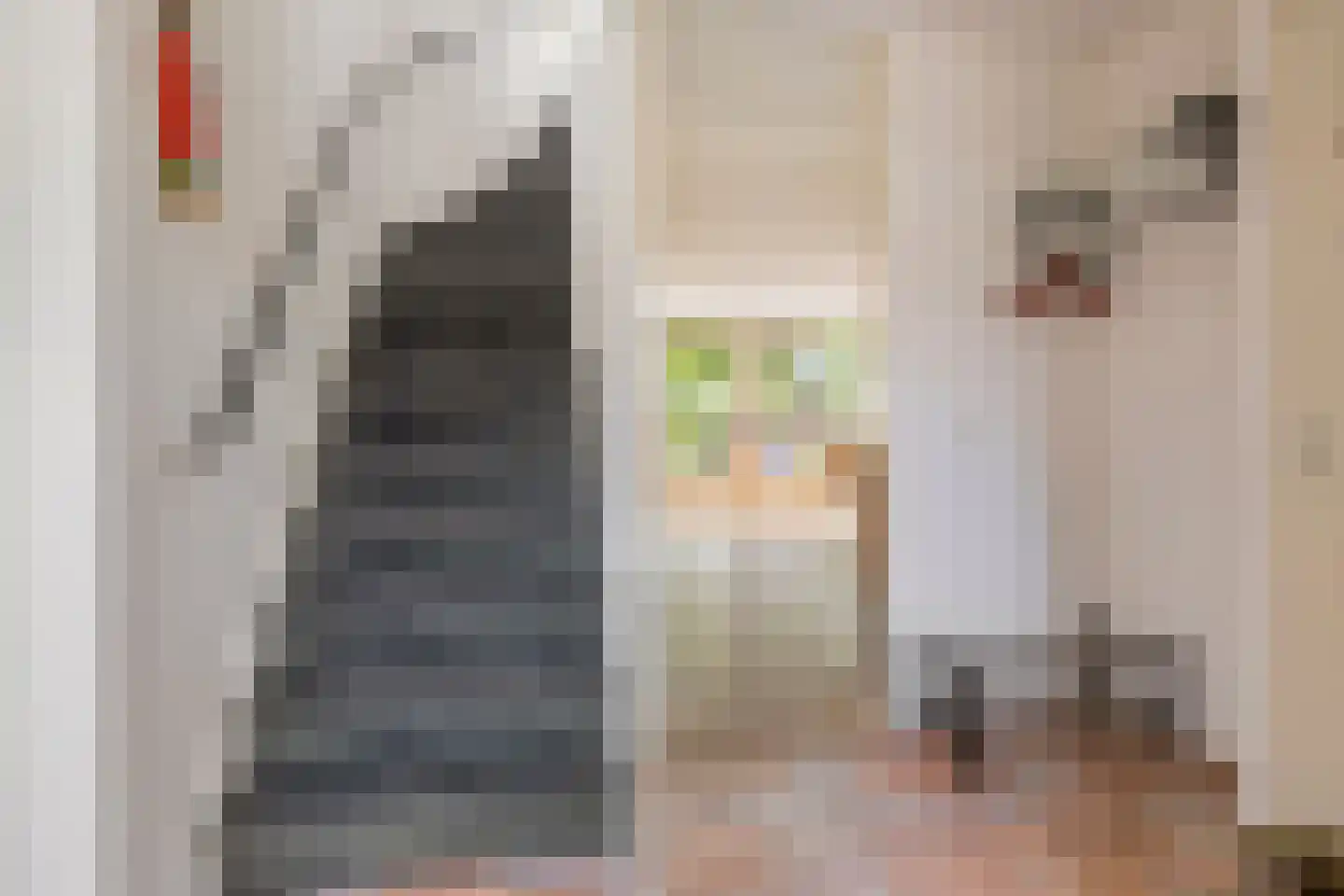 Mariekenspad 2 Laren thumbnail 13