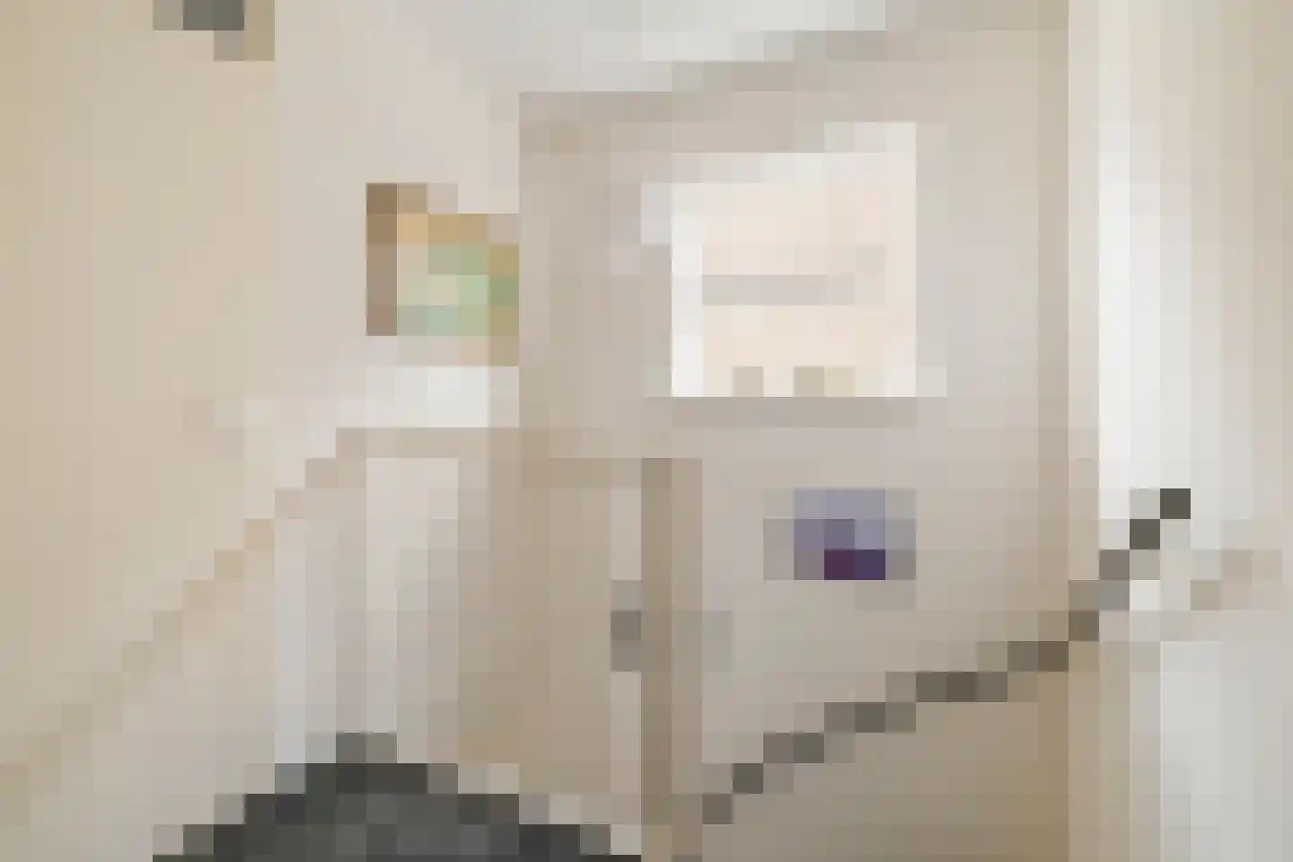 Mariekenspad 2 Laren thumbnail 14