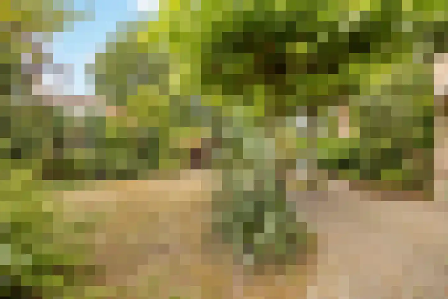 Mariekenspad 2 Laren thumbnail 21