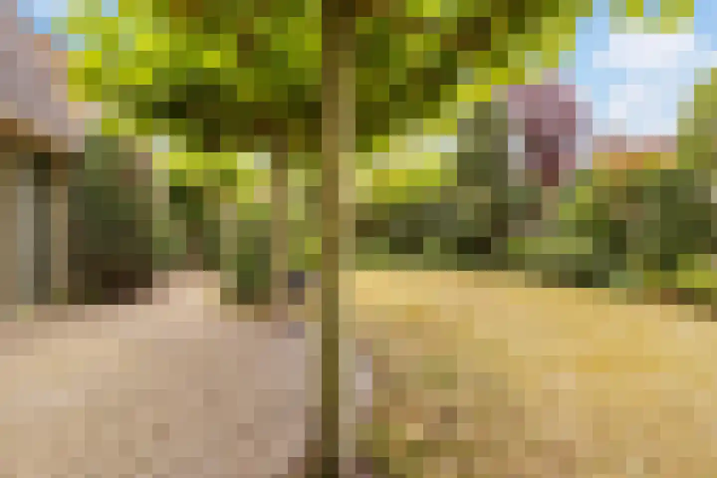 Mariekenspad 2 Laren thumbnail 22