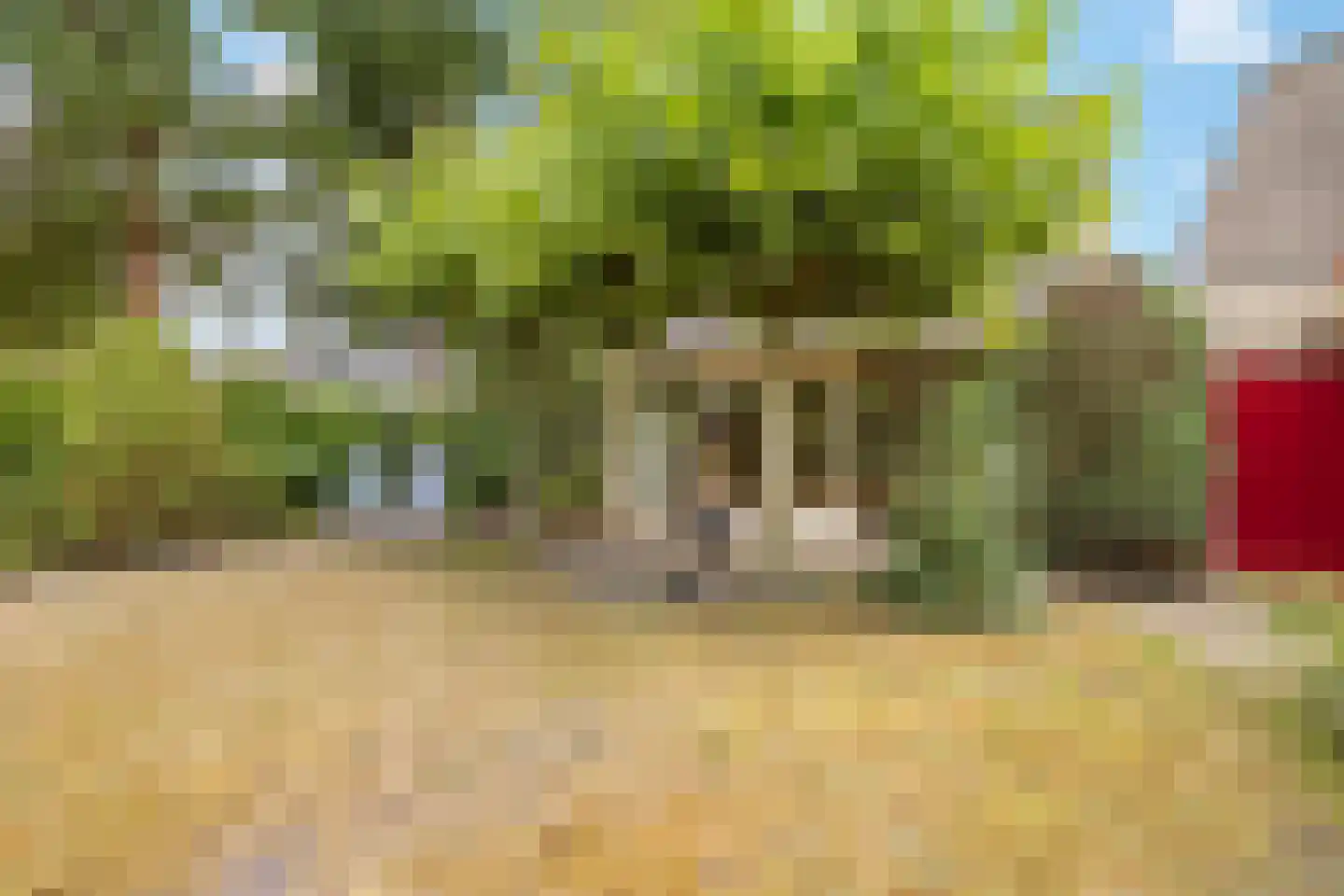 Mariekenspad 2 Laren thumbnail 23