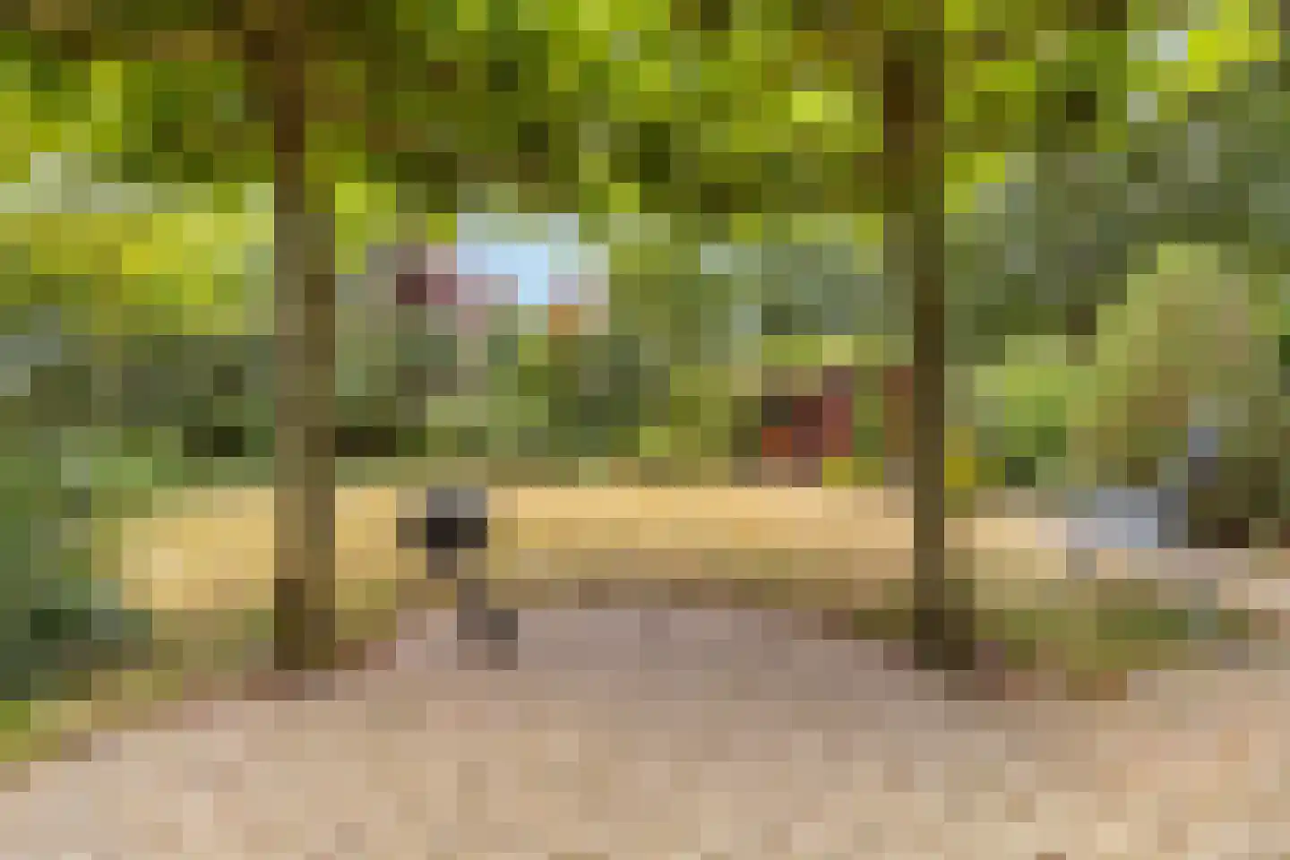 Mariekenspad 2 Laren thumbnail 24