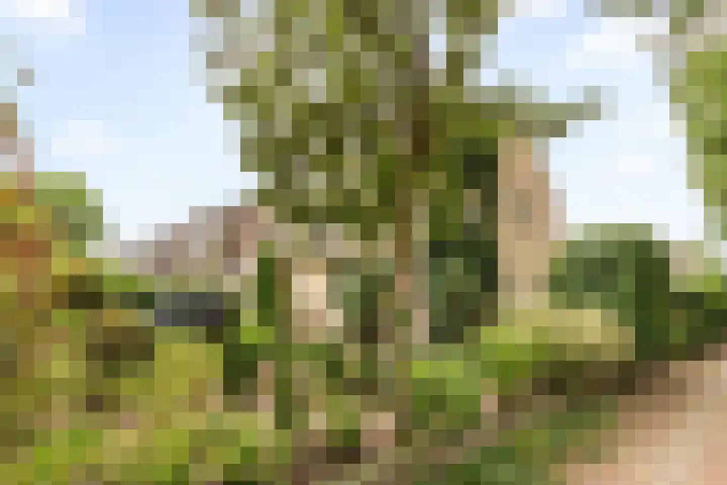 Mariekenspad 2 Laren thumbnail 25