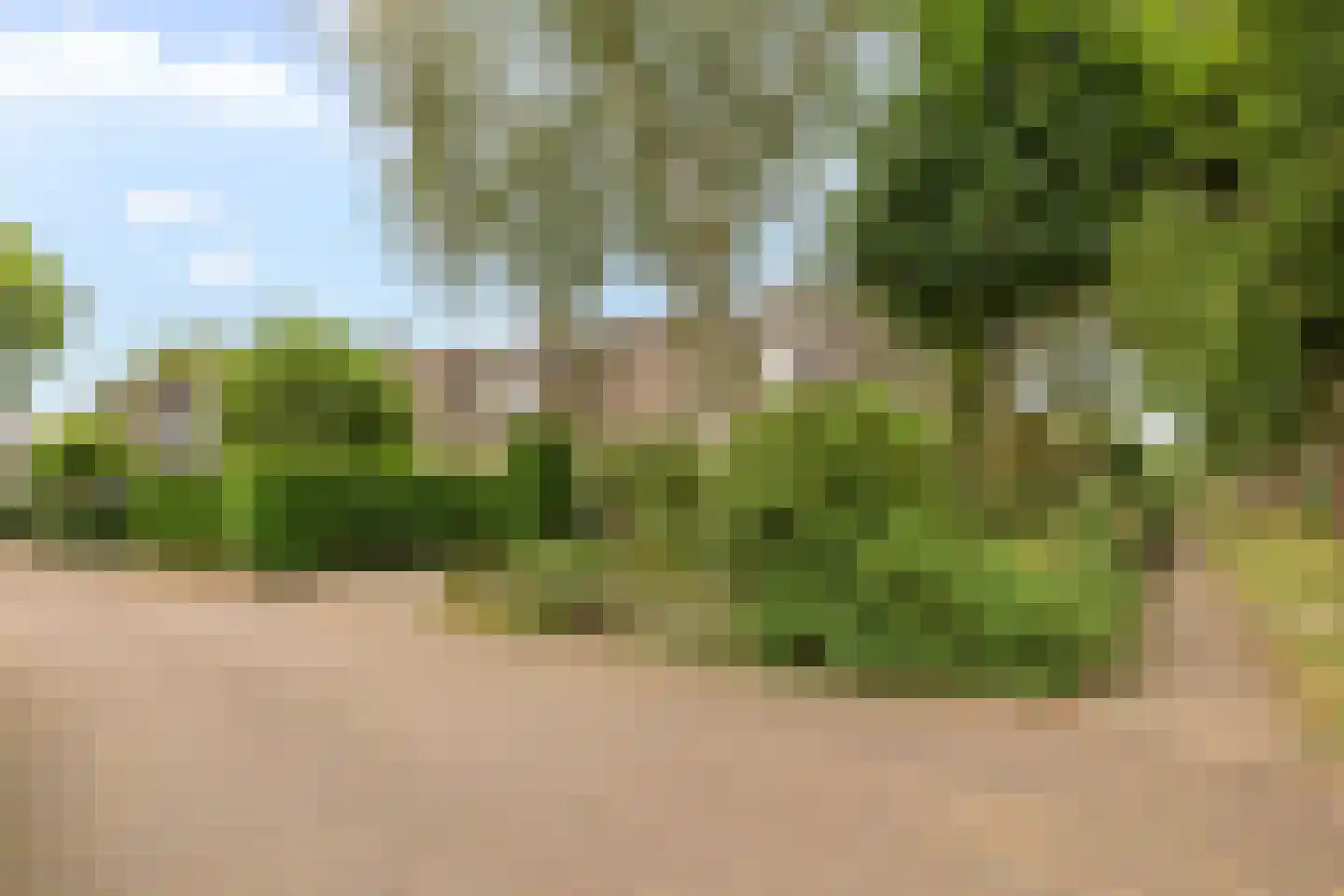 Mariekenspad 2 Laren thumbnail 26
