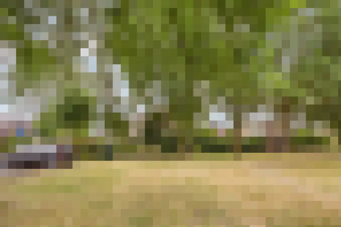 Mariekenspad 2 Laren thumbnail 27