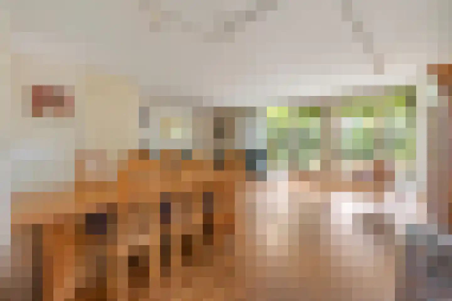 Mariekenspad 2 Laren thumbnail 7