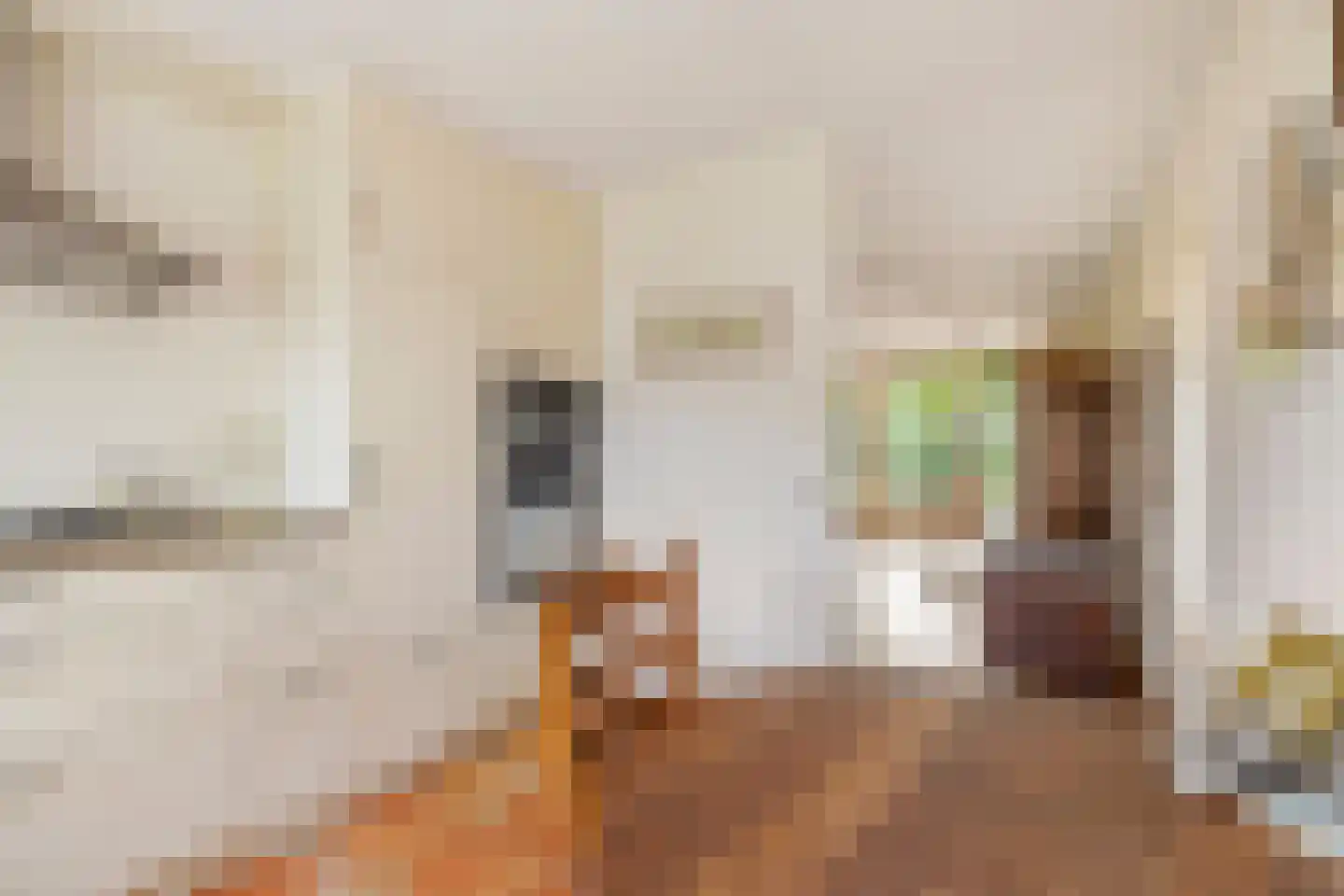 Mariekenspad 2 Laren thumbnail 9