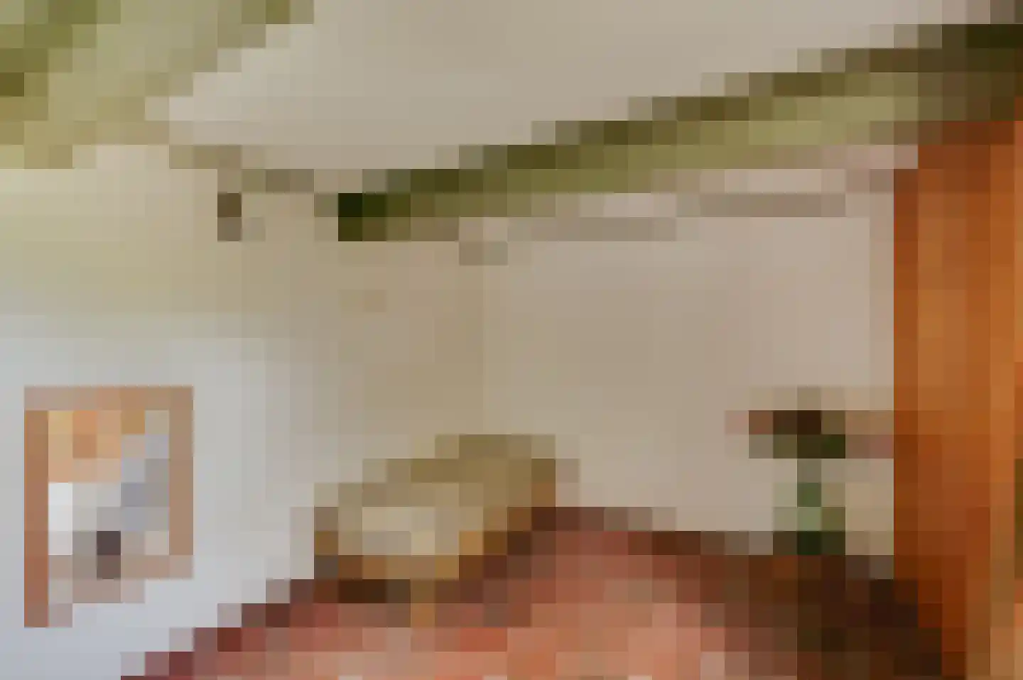 Mariekerke 5 Meliskerke thumbnail 22