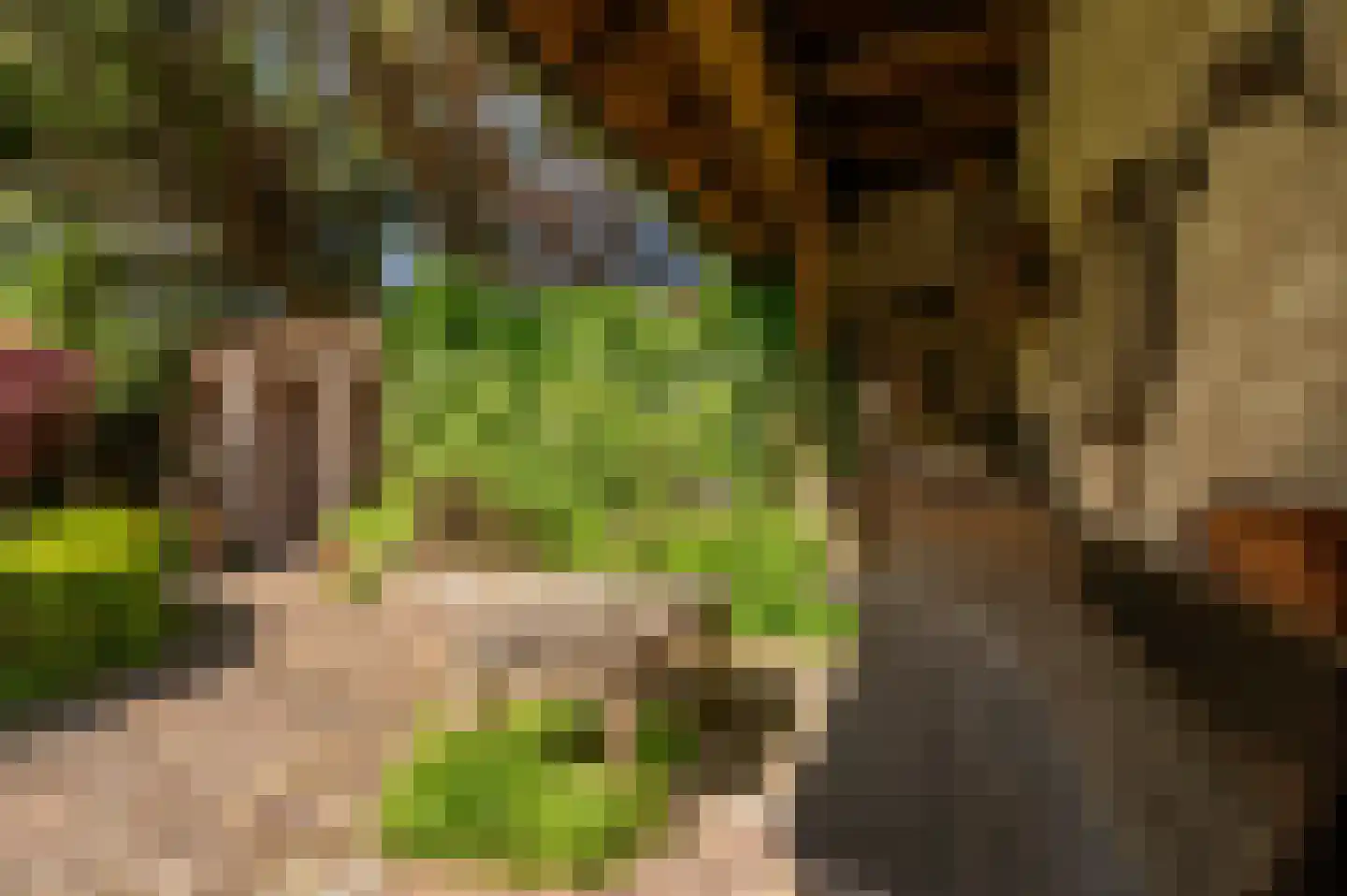 Mariekerke 5 Meliskerke thumbnail 36