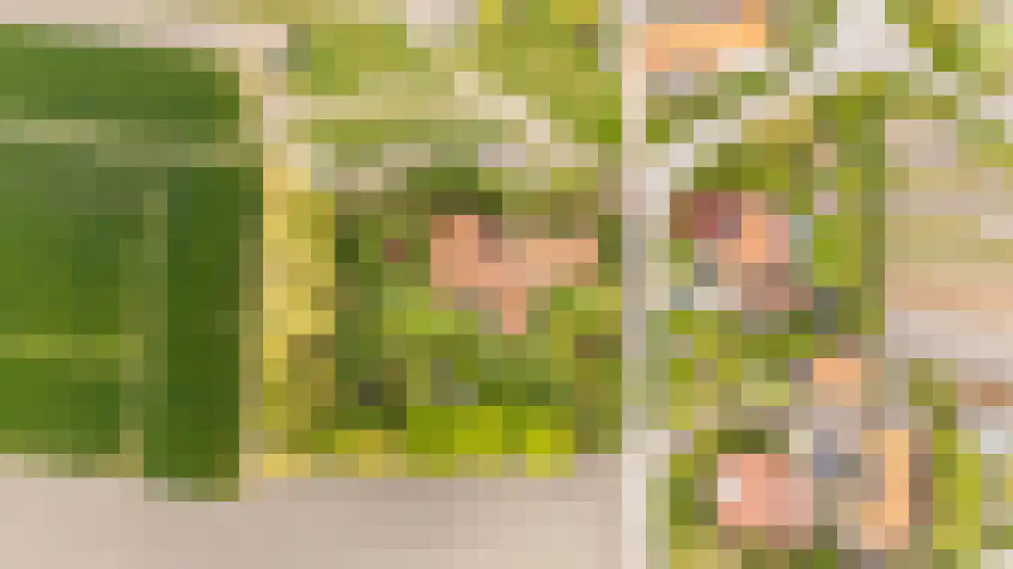 Mariekerke 5 Meliskerke thumbnail 53