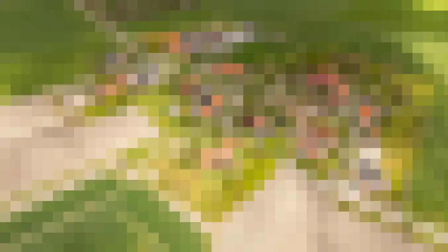 Mariekerke 5 Meliskerke thumbnail 55
