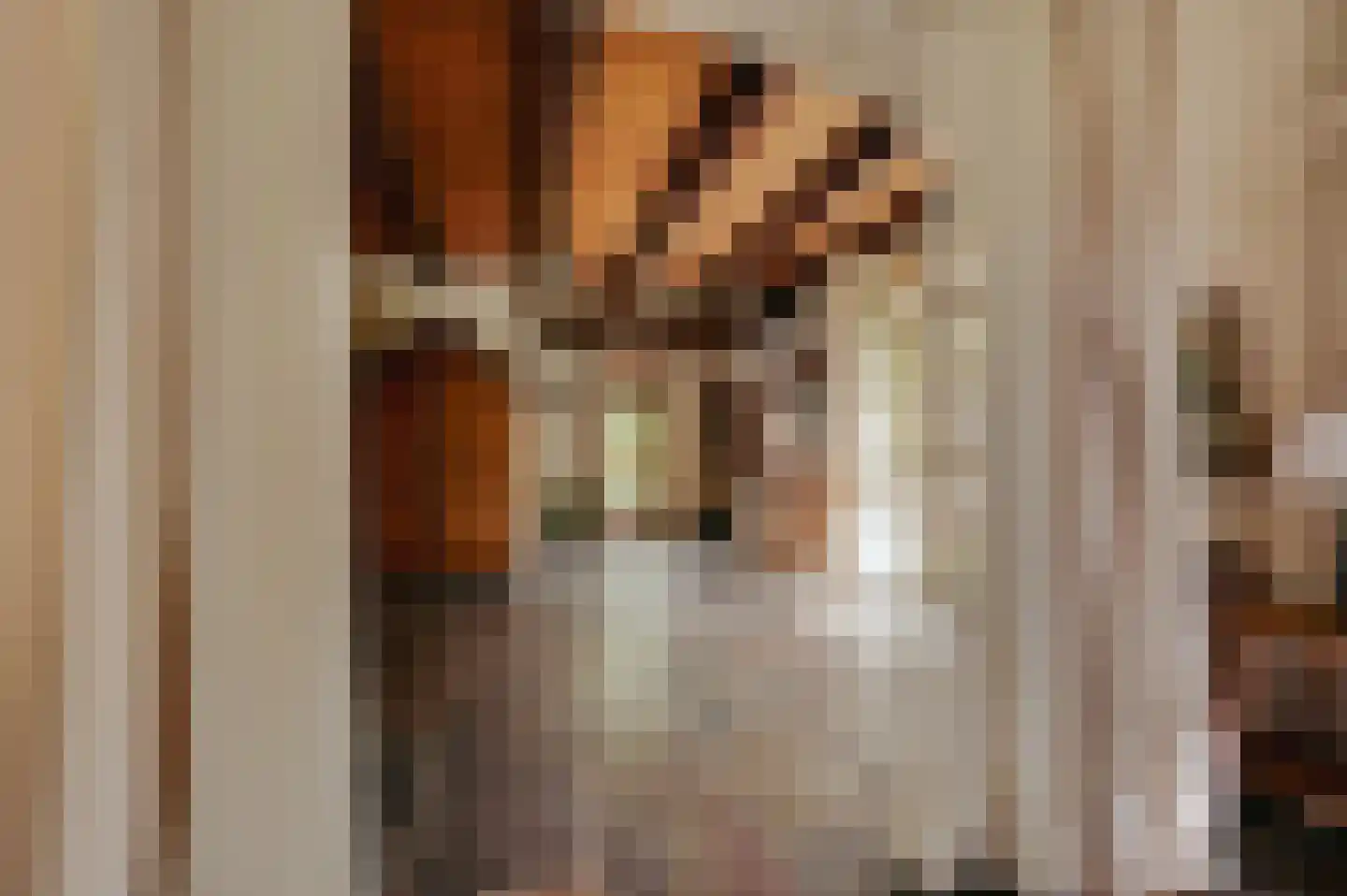 Mariekerke 5 R Meliskerke thumbnail 11