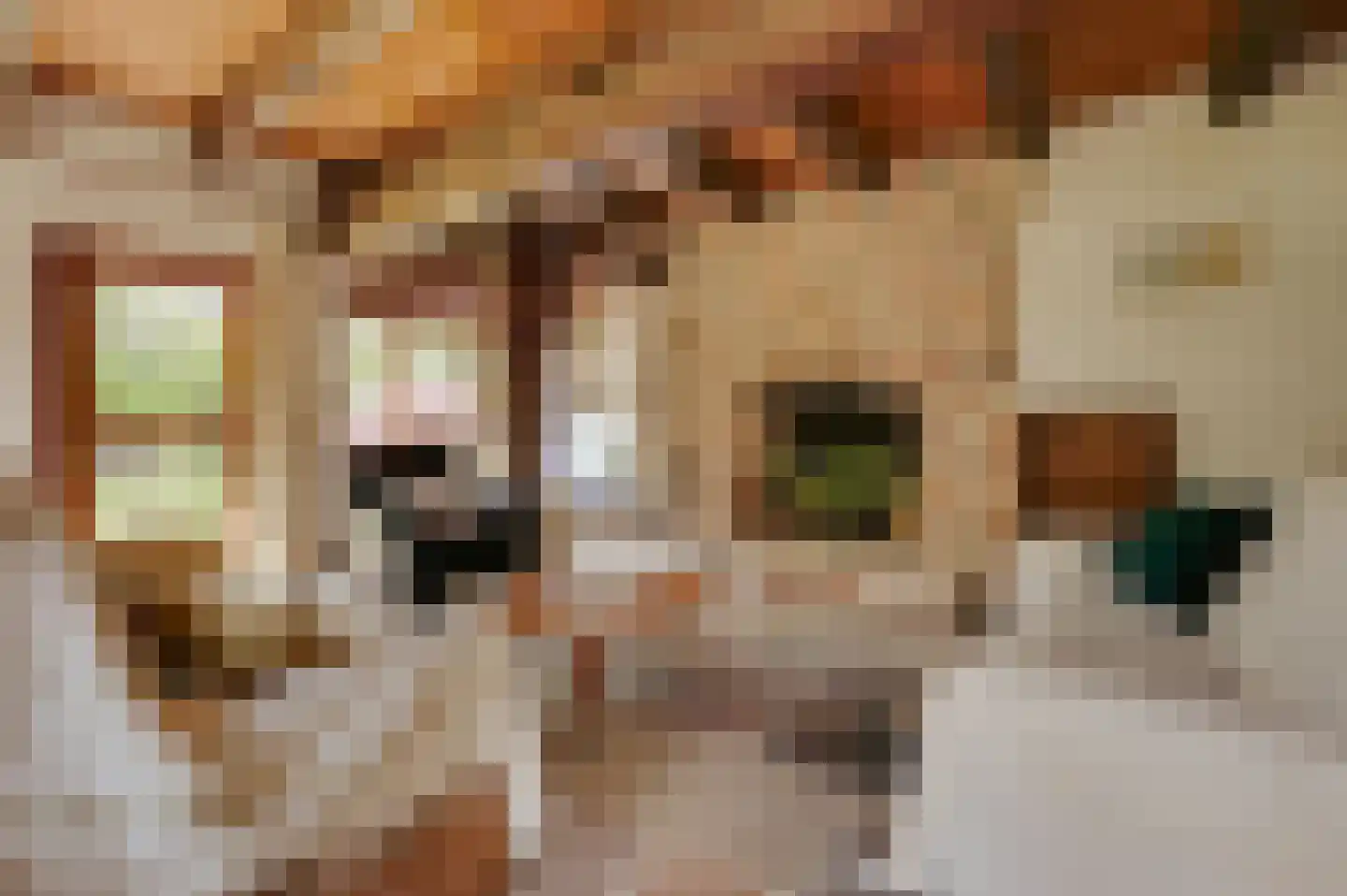 Mariekerke 5 R Meliskerke thumbnail 13