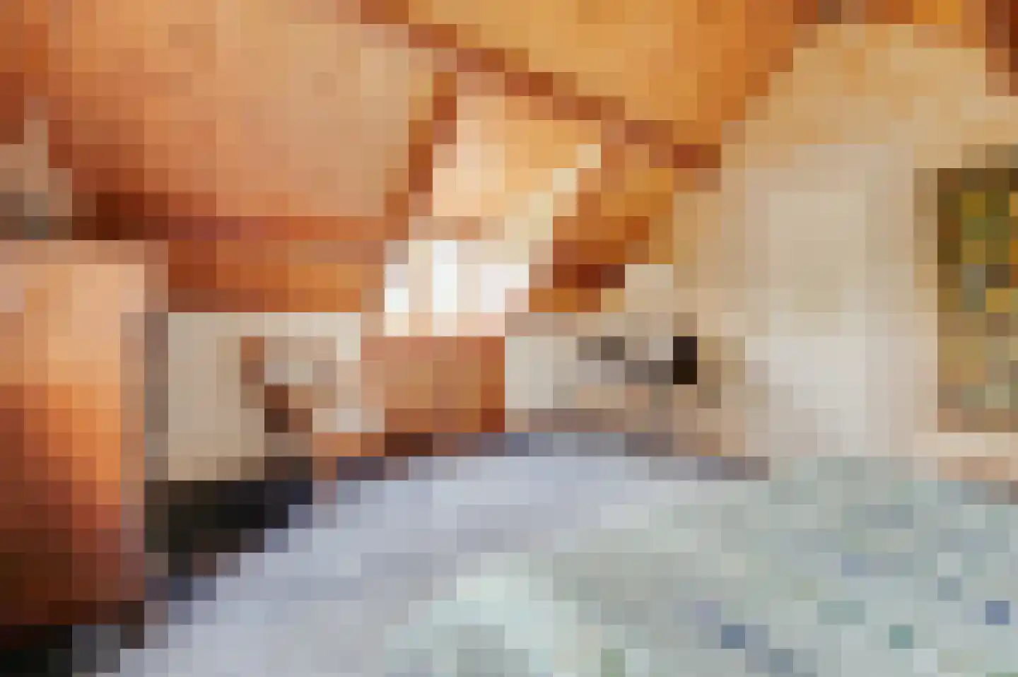 Mariekerke 5 R Meliskerke thumbnail 31