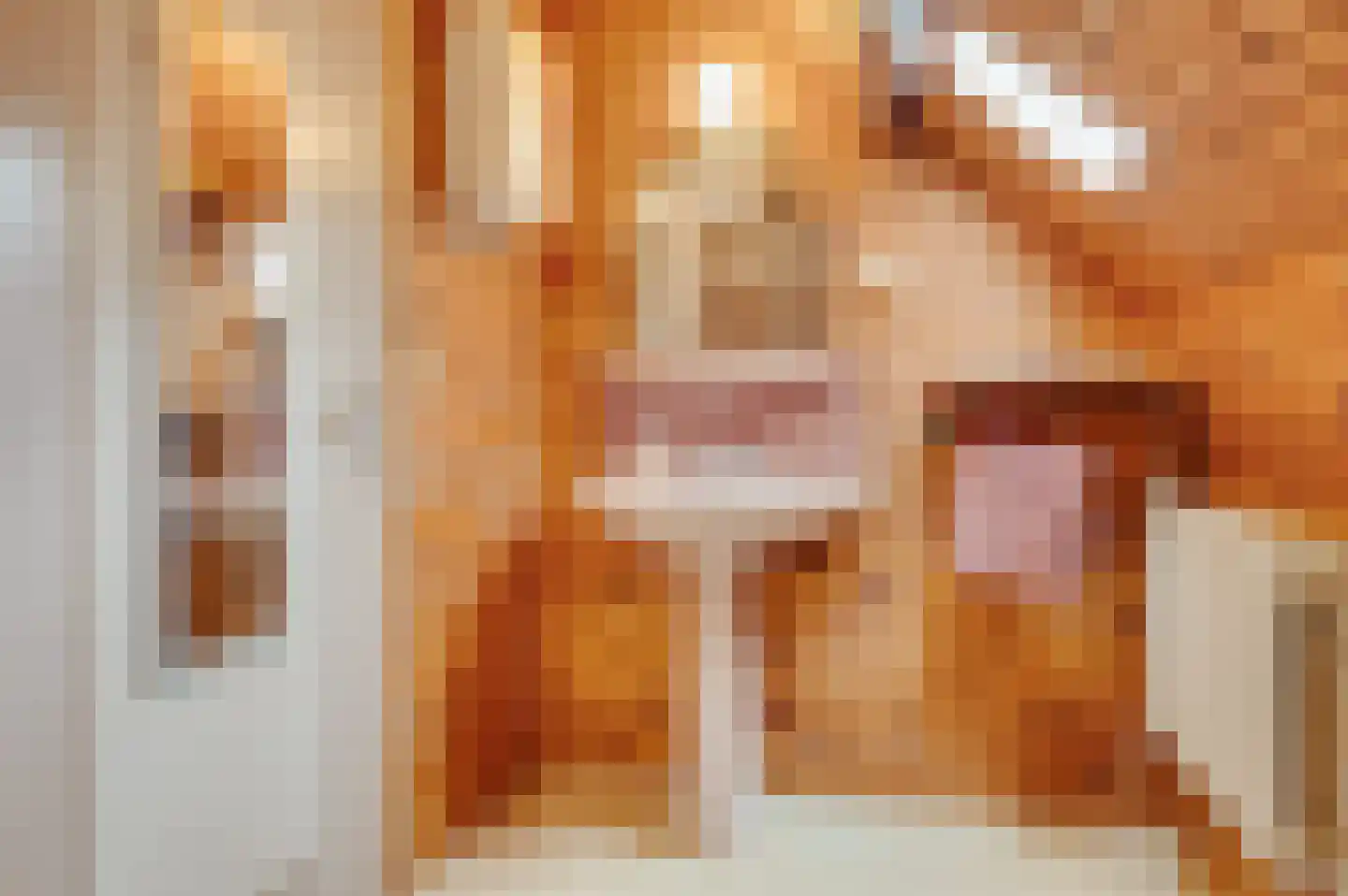 Mariekerke 5 R Meliskerke thumbnail 33