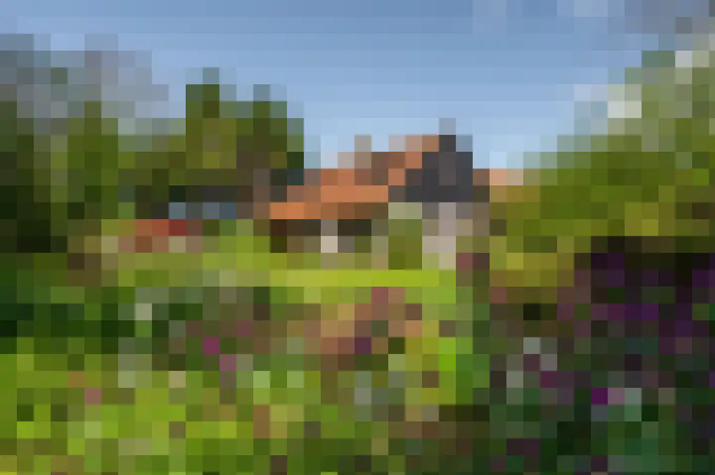 Mariekerke 5 R Meliskerke thumbnail 34