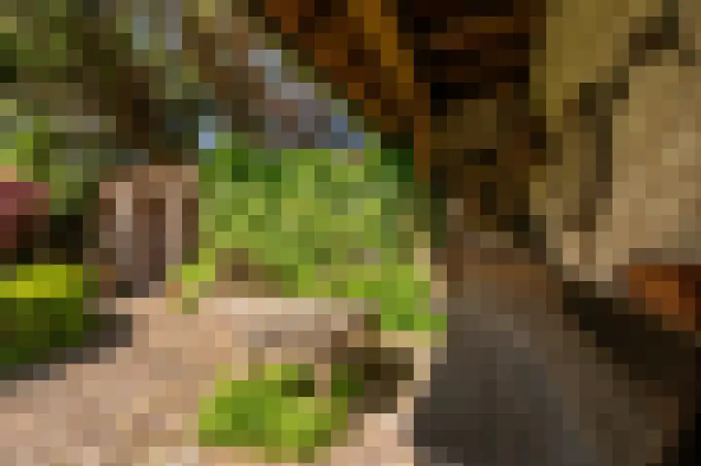 Mariekerke 5 R Meliskerke thumbnail 36