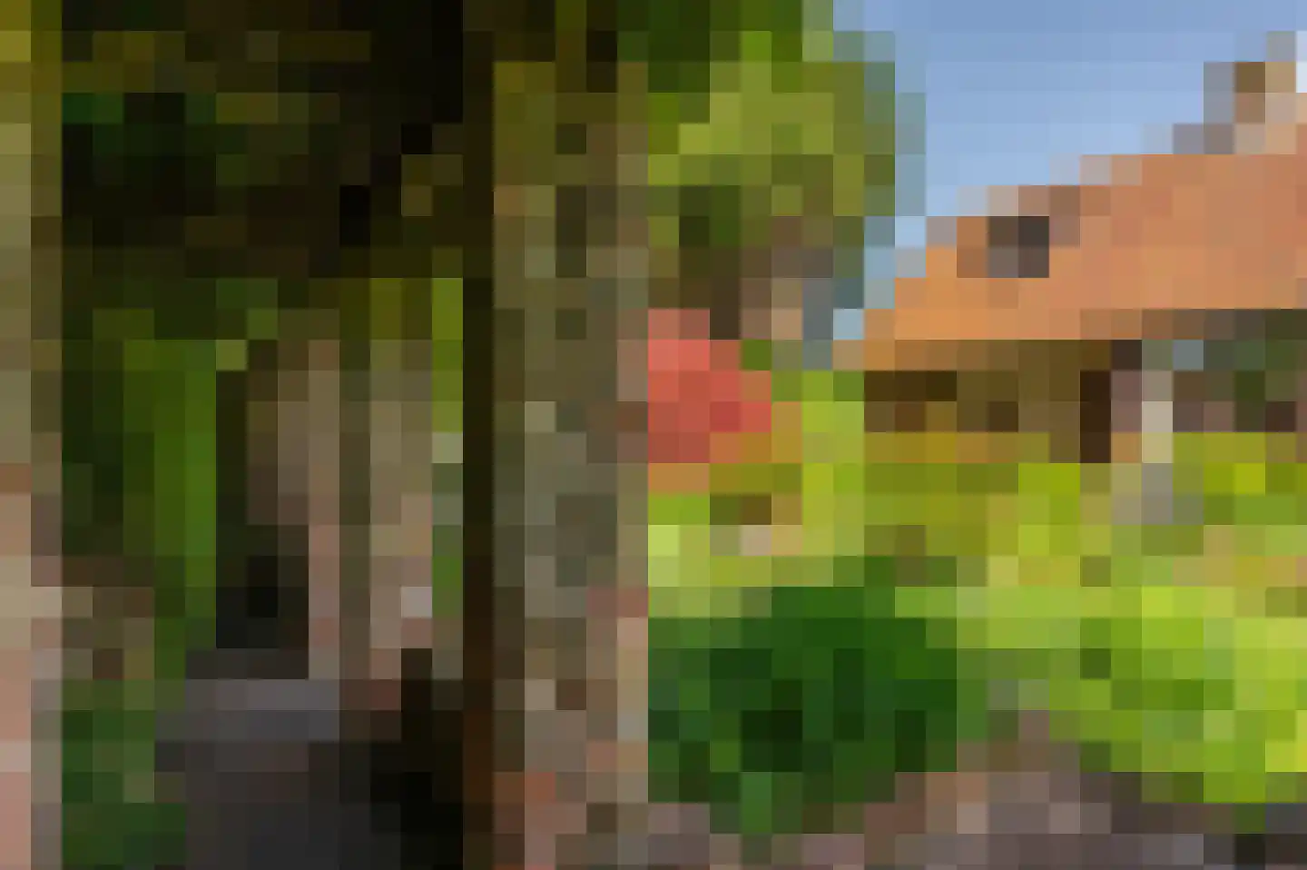 Mariekerke 5 R Meliskerke thumbnail 37