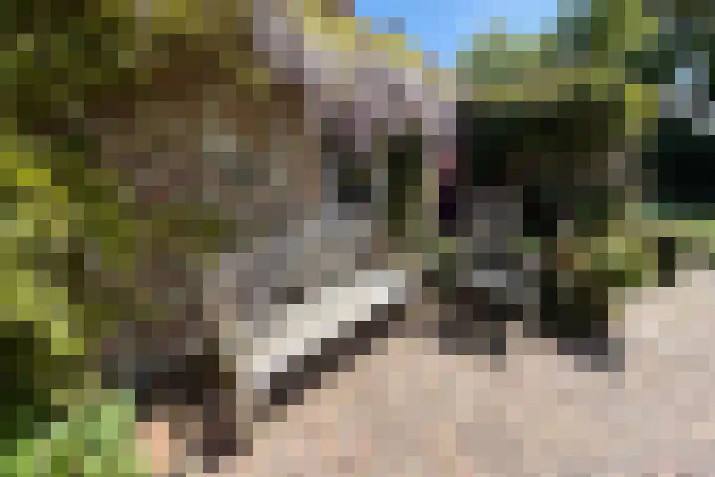 Mariekerke 5 R Meliskerke thumbnail 39
