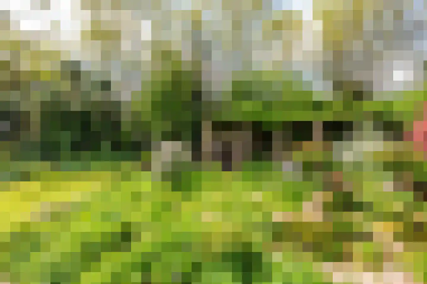 Mariekerke 5 R Meliskerke thumbnail 40