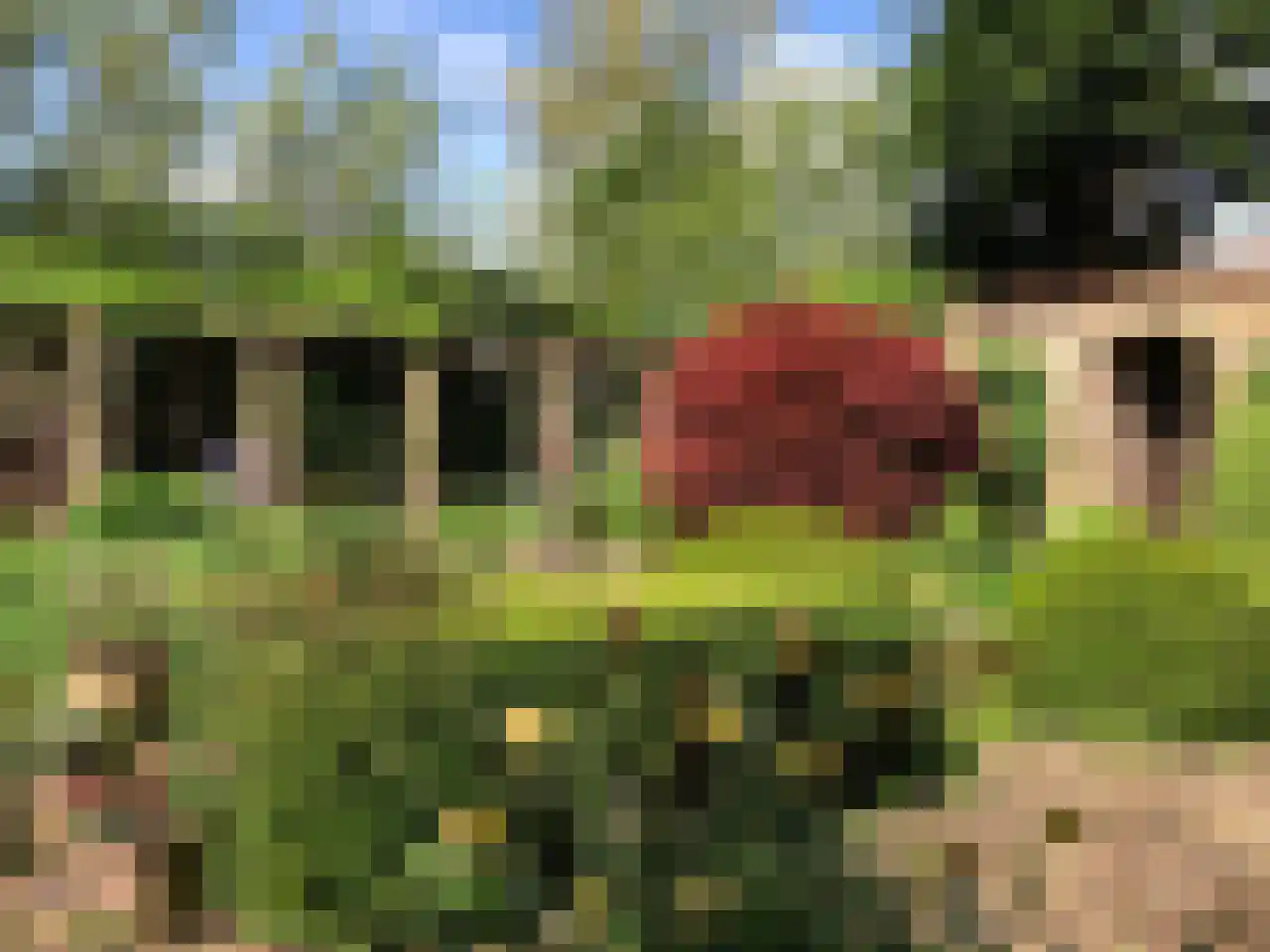 Mariekerke 5 R Meliskerke thumbnail 41