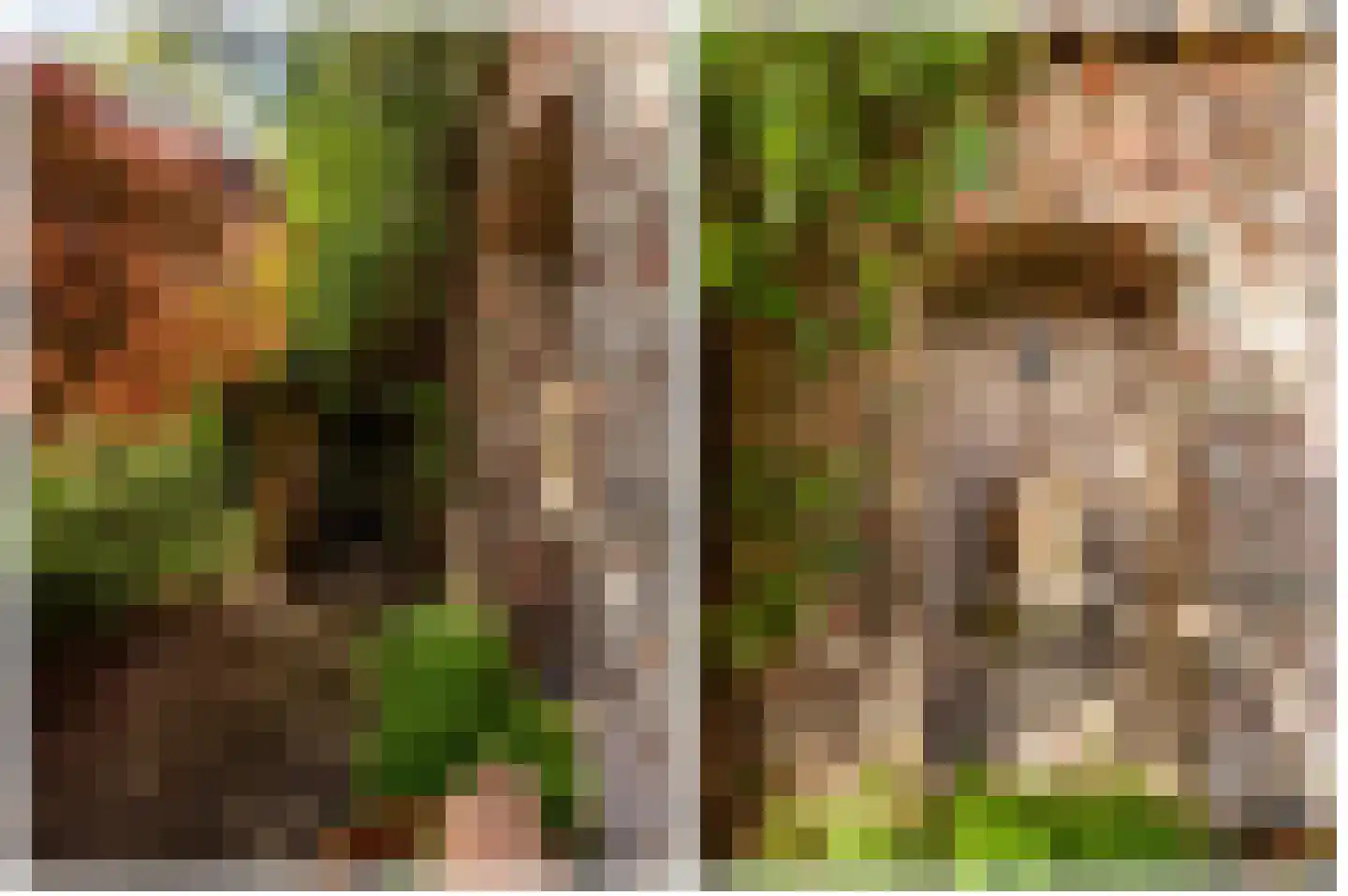 Mariekerke 5 R Meliskerke thumbnail 42