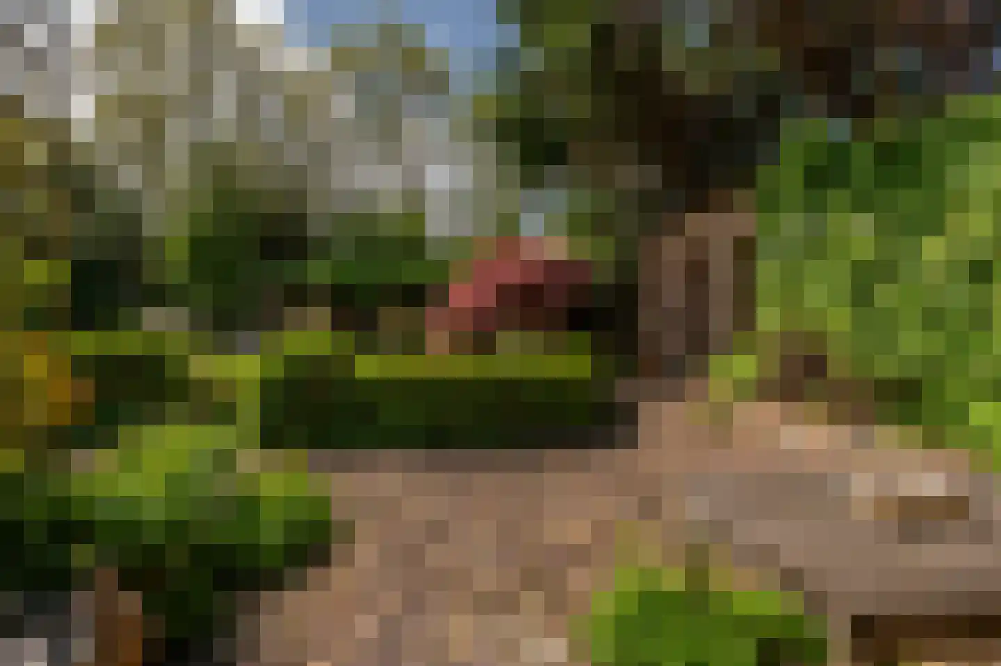 Mariekerke 5 R Meliskerke thumbnail 43