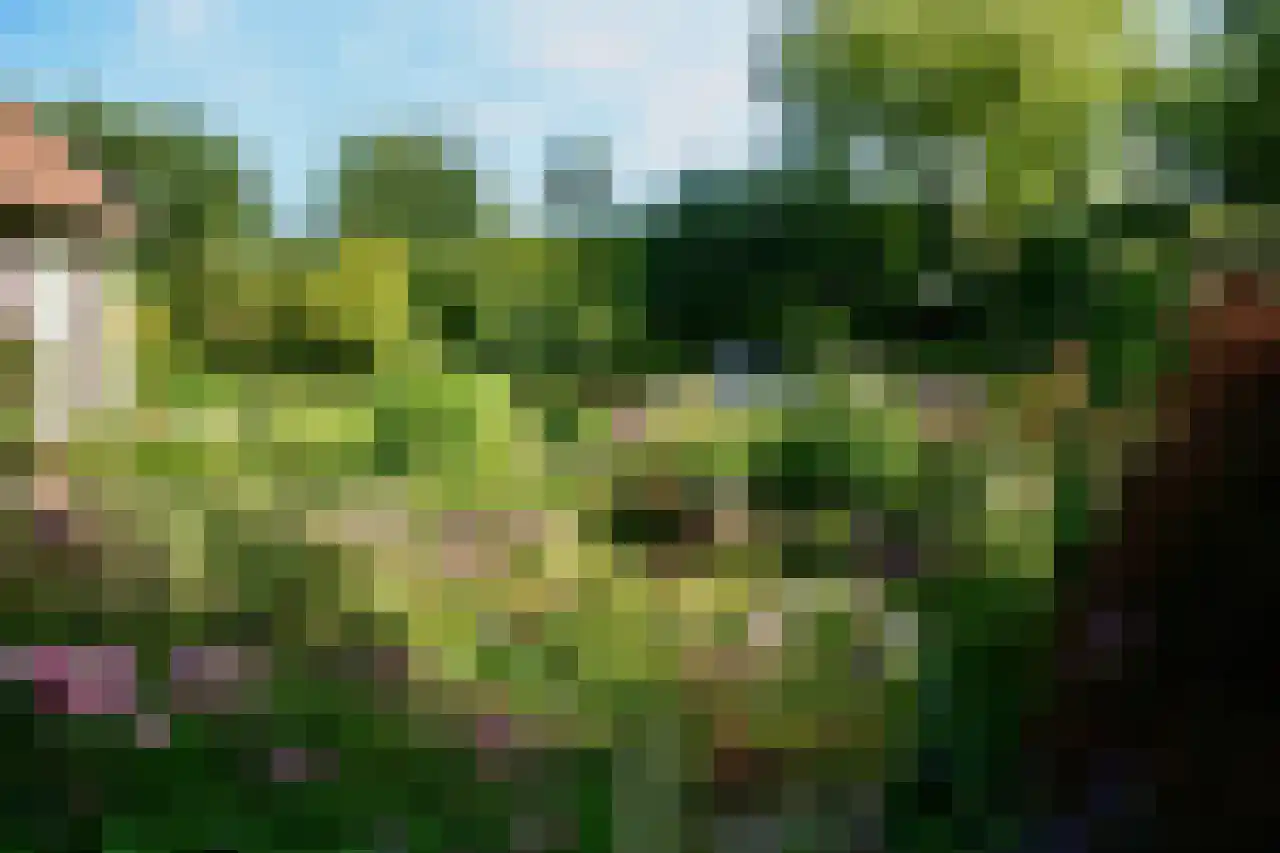Mariekerke 5 R Meliskerke thumbnail 44
