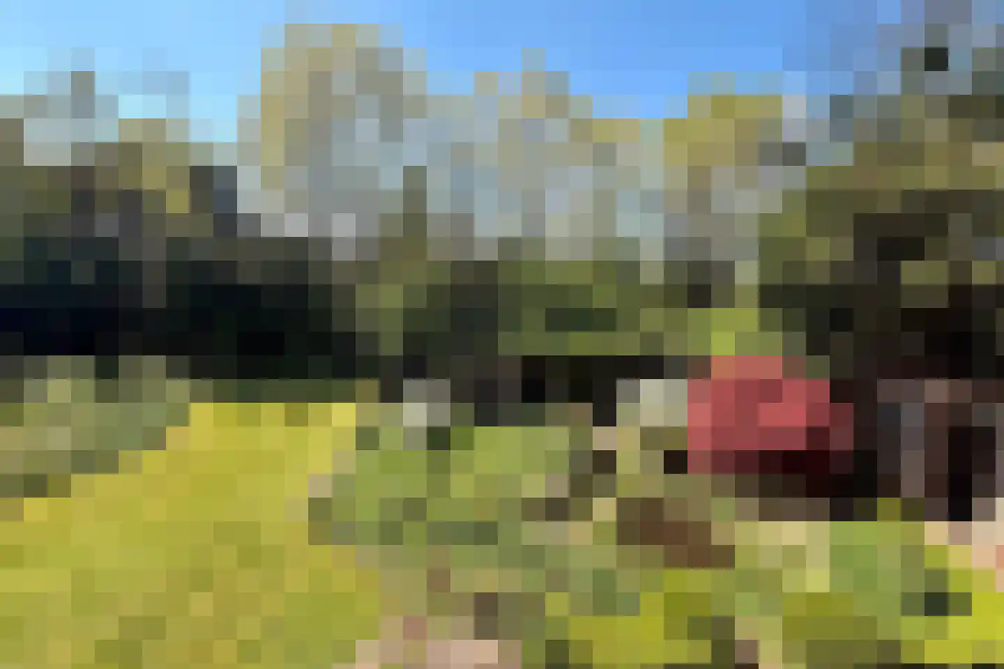 Mariekerke 5 R Meliskerke thumbnail 45