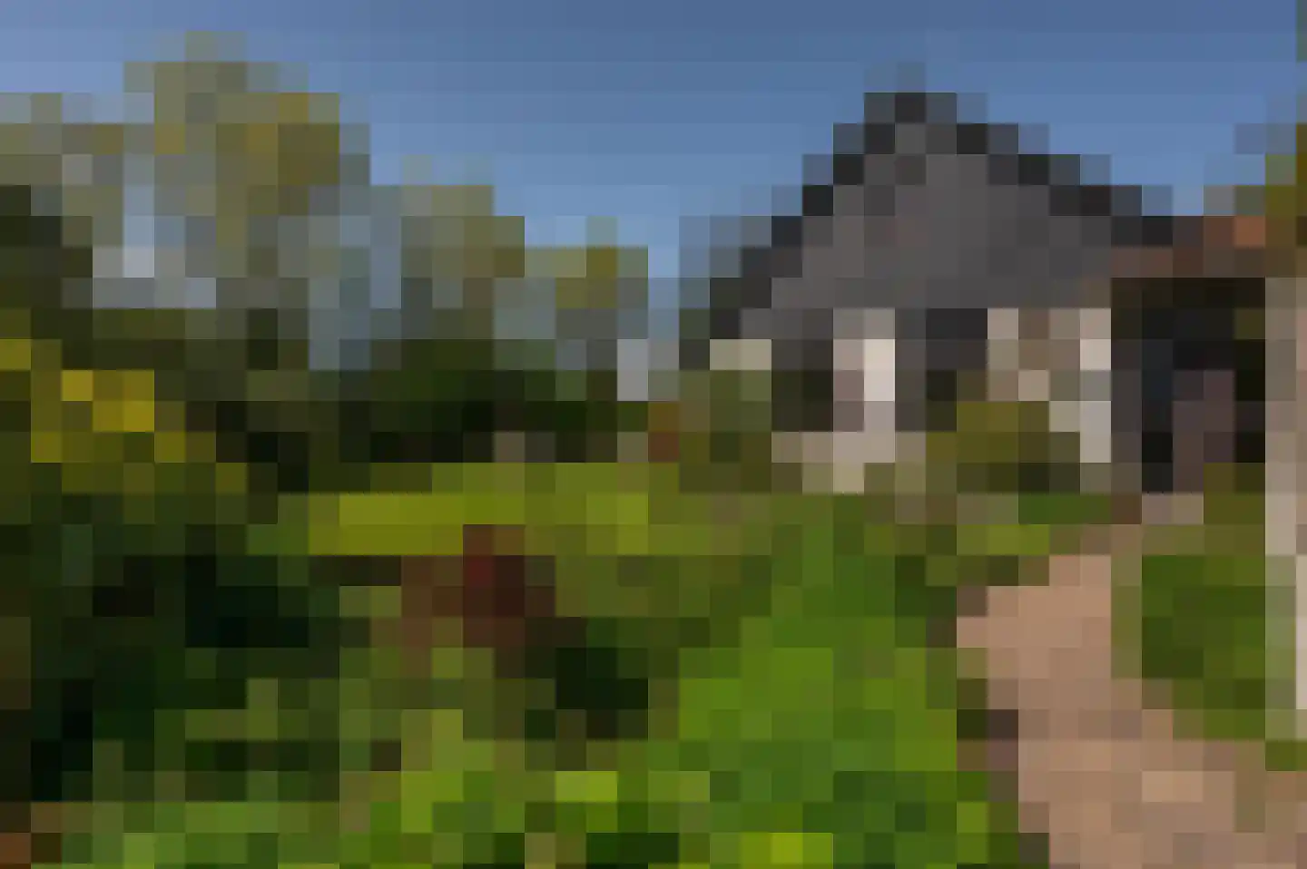 Mariekerke 5 R Meliskerke thumbnail 47