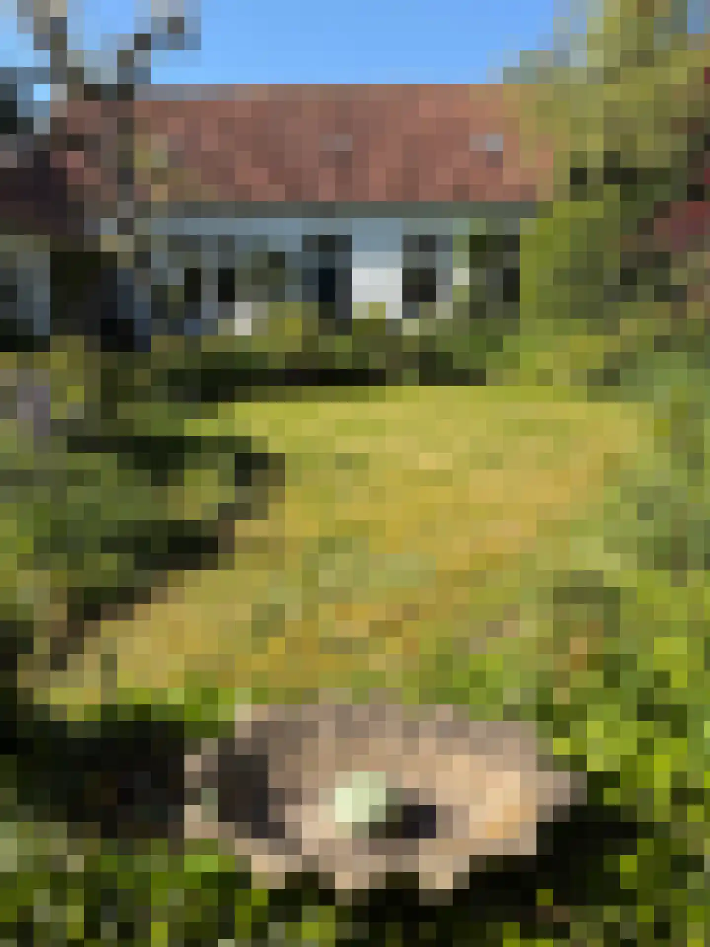 Mariekerke 5 R Meliskerke thumbnail 49