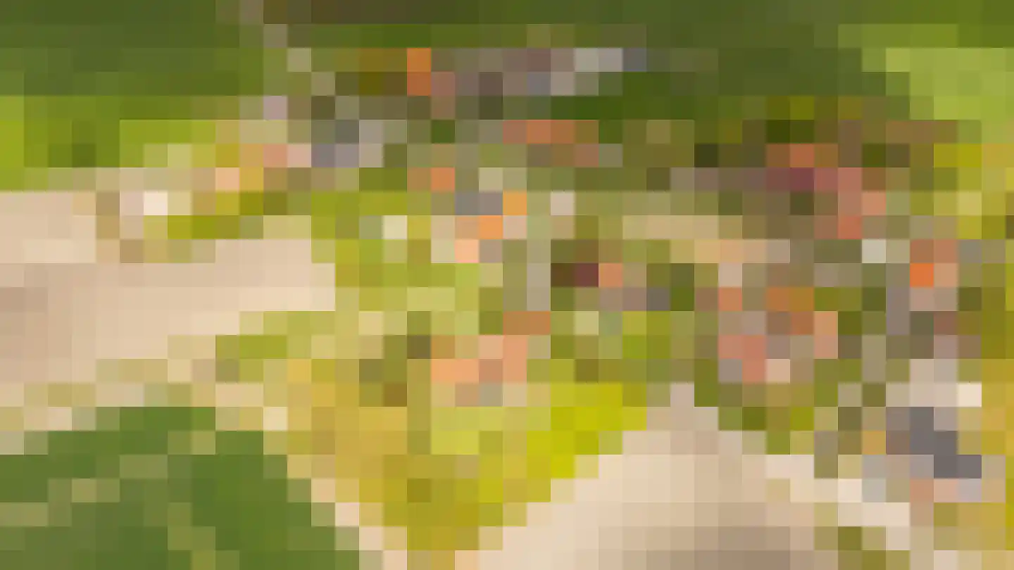 Mariekerke 5 R Meliskerke thumbnail 54
