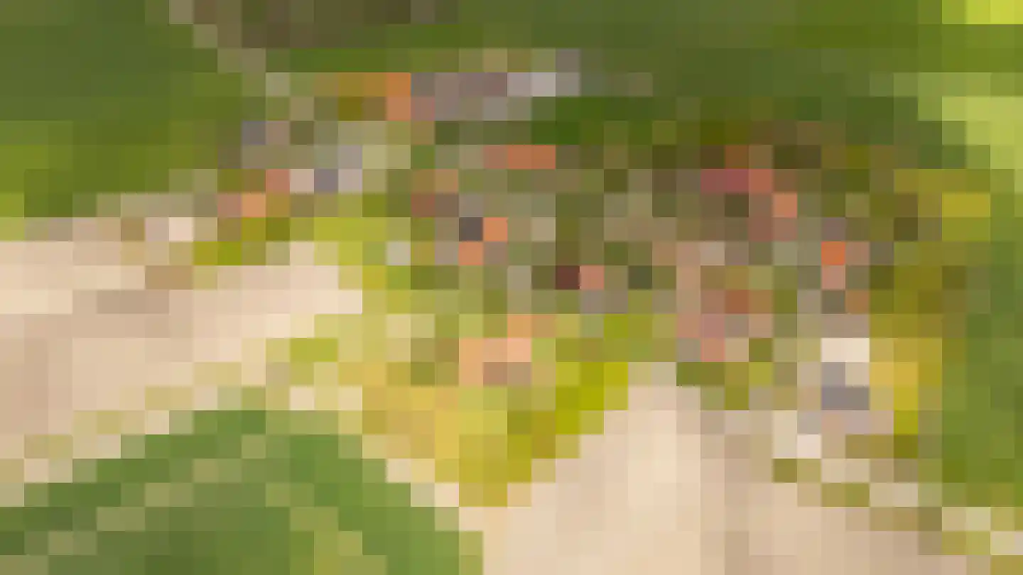 Mariekerke 5 R Meliskerke thumbnail 55