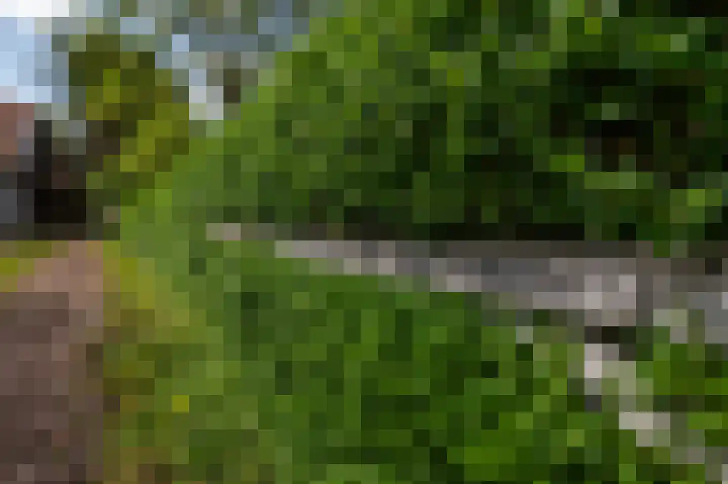 Mariekerke 5 R Meliskerke thumbnail 6
