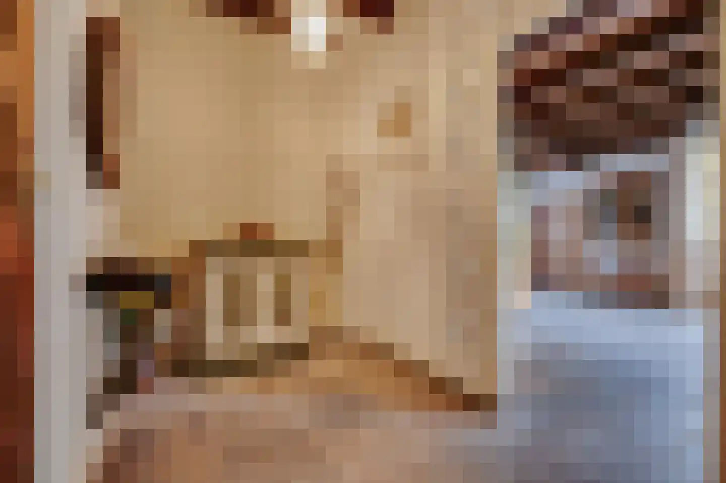 Mariekerke 5 R Meliskerke thumbnail 8