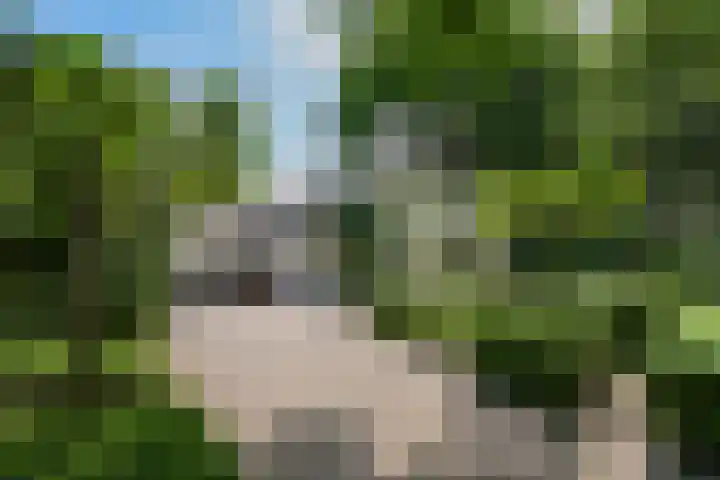 Mariënboomseweg 5 Nijmegen thumbnail 4