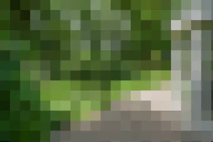 Mariënboomseweg 5 Nijmegen thumbnail 64