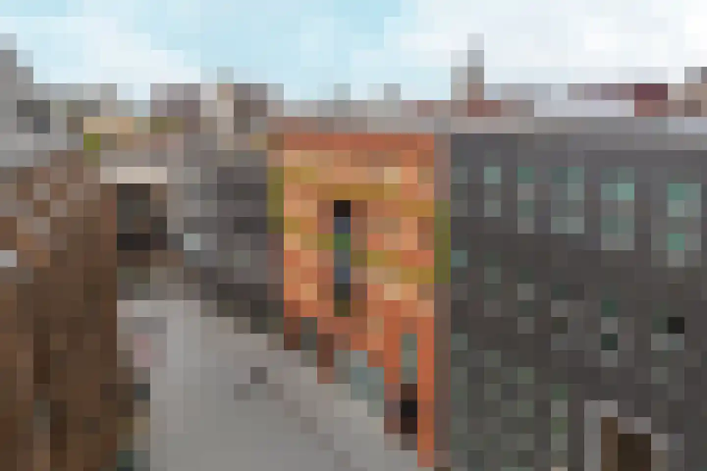 Mariënburg 20 Nijmegen
