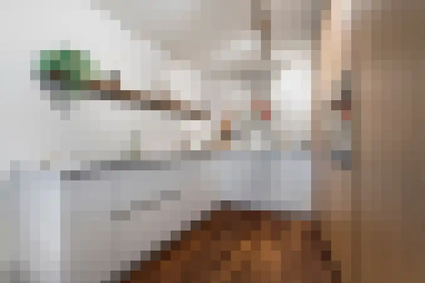Mariënburg 20 Nijmegen thumbnail 4