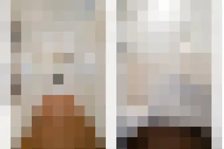 Mariënburg 21 Gemert thumbnail 11