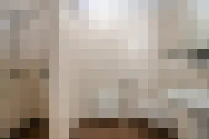Mariënburg 21 Gemert thumbnail 15