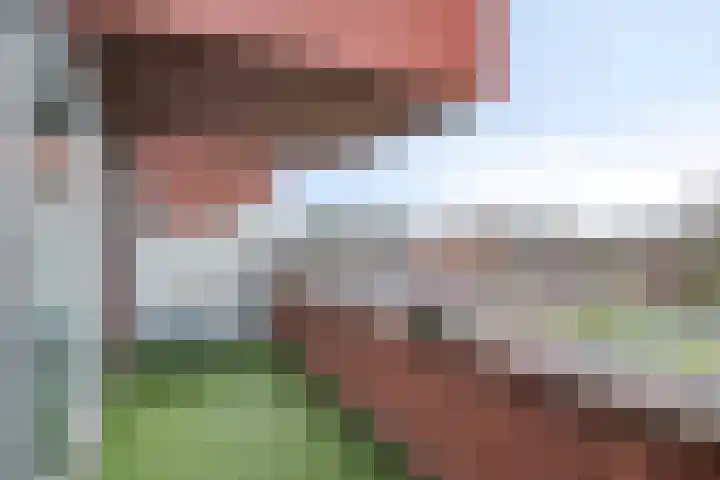 Mariënburg 21 Gemert thumbnail 18
