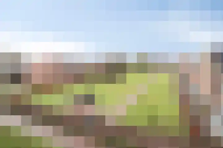 Mariënburg 21 Gemert thumbnail 19