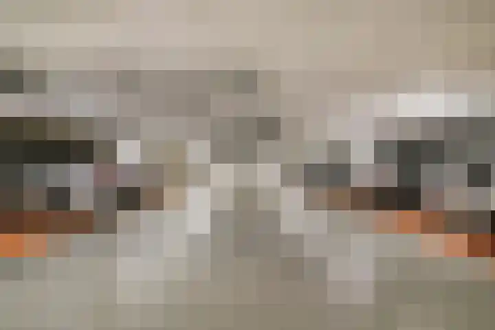 Mariënburg 21 Gemert thumbnail 25