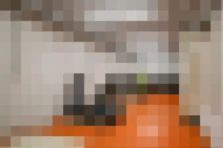 Mariënburg 21 Gemert thumbnail 26