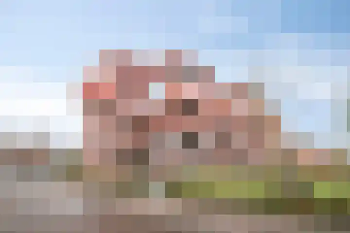 Mariënburg 21 Gemert thumbnail 29