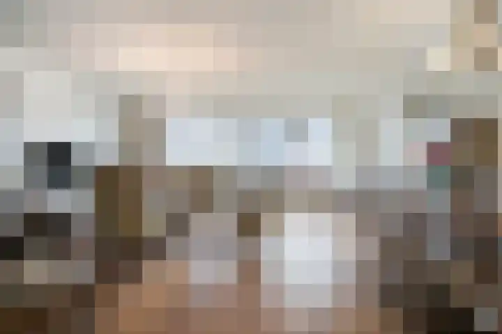 Mariënburg 21 Gemert thumbnail 4